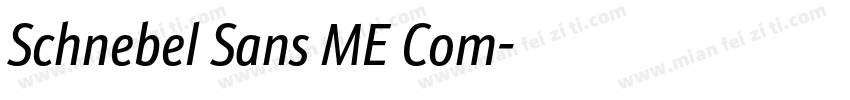 Schnebel Sans ME Com字体转换